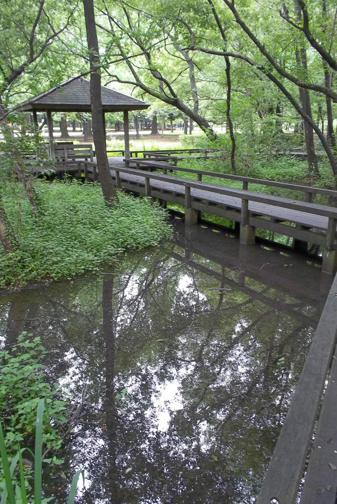 2015/07/05_伊奈町制施行記念公園