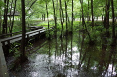 2015/07/05_伊奈町制施行記念公園