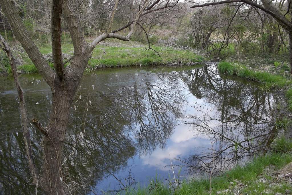 2016/03/26_北本自然観察公園