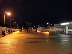 2015/04/03_夜のパンダ橋