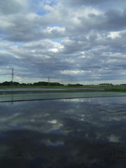 2017/06/04_水田に雲