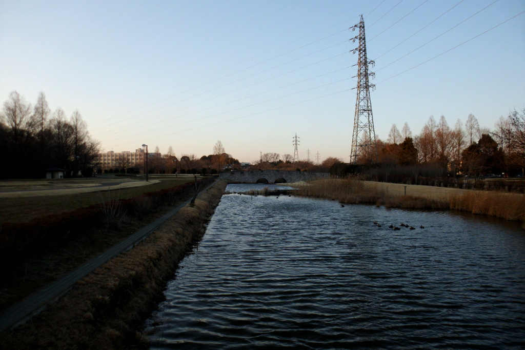 2015/02/15_花の丘農林公苑