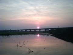2015/07/12_水田の夕暮れ