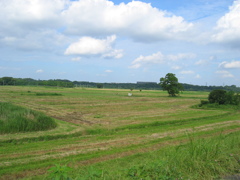 2012/07/08_荒川河川敷