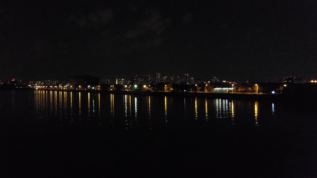 2014/01/01_若洲からの夜景