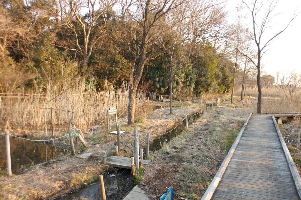 2015/02/11_ホタルの里