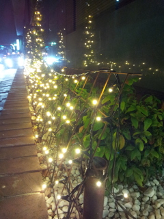 2016/07/16_盛岡の夜