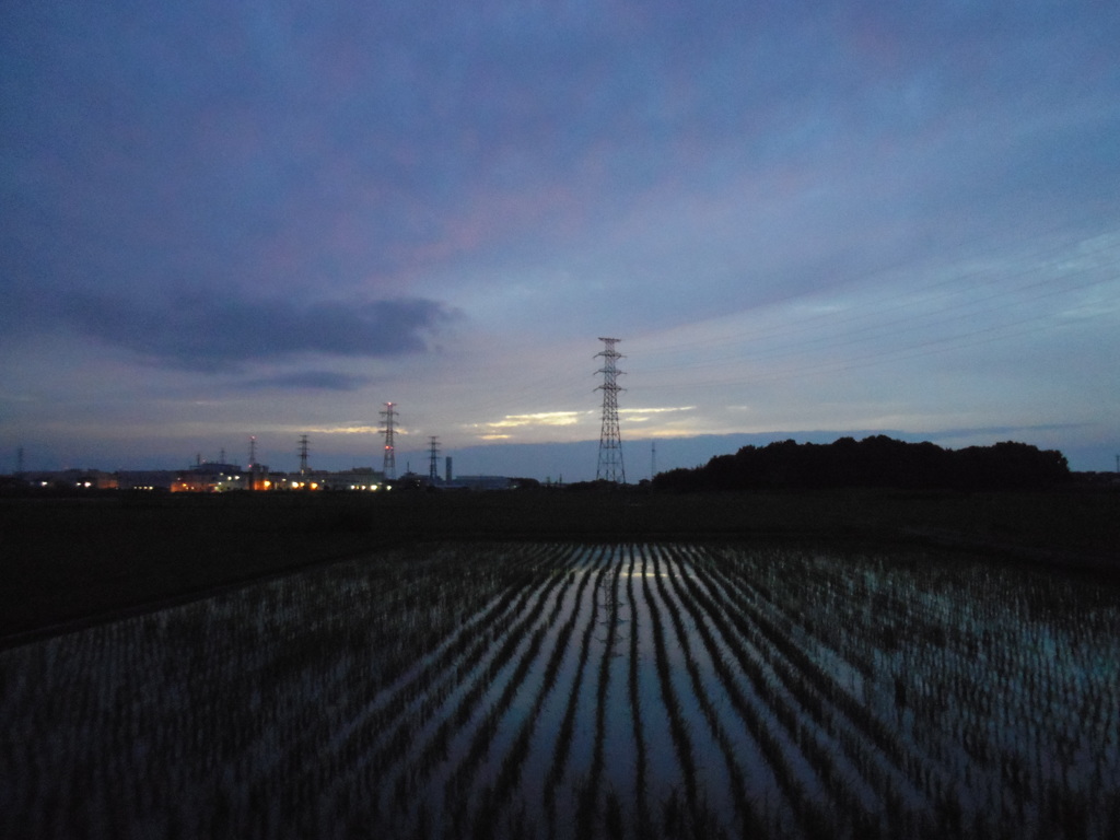 2017/06/25_水田の夕暮れ