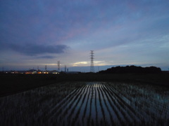 2017/06/25_水田の夕暮れ