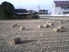 2015/11/01_藁ロール