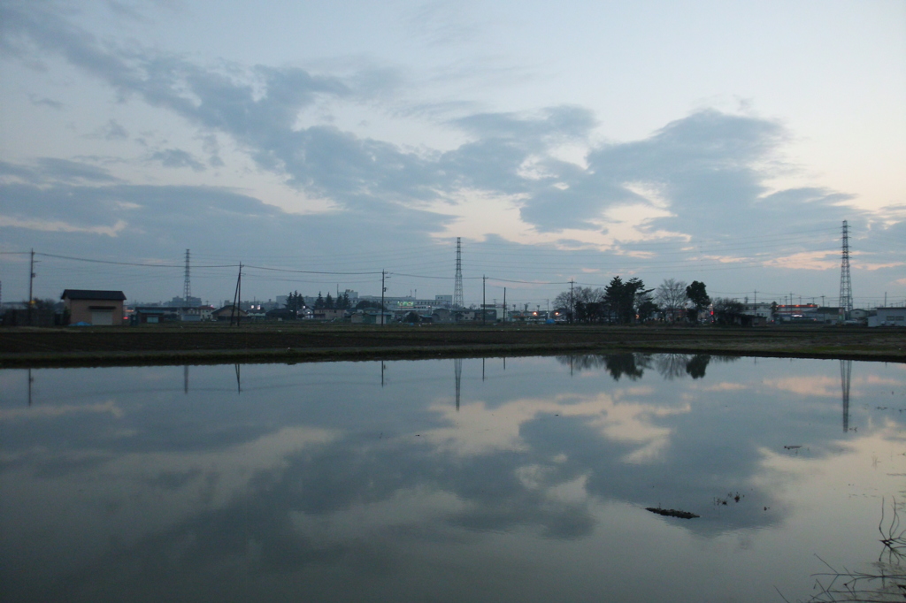 2016/03/19_水田の夕暮れ