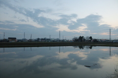 2016/03/19_水田の夕暮れ