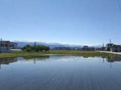 2017/05/19_水田に立山連峰