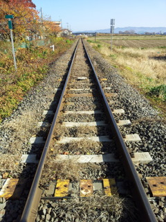 2016/11/14_五能線の線路