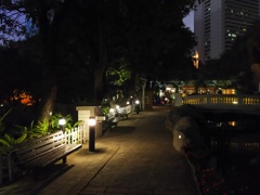 2017/03/12_夜の香港公園