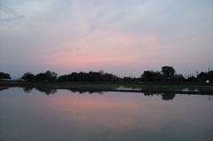 2016/05/01_水田の夕暮れ