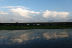 2015/06/21_水田に雲