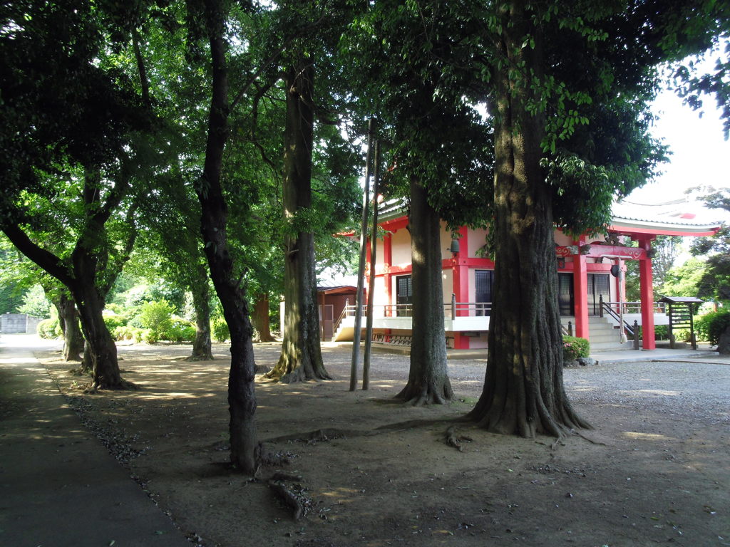 2017/06/11_小室観音堂境内