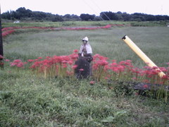 2015/09/21_彼岸花と石像