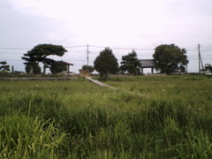 2015/07/05_菖蒲城址あやめ園