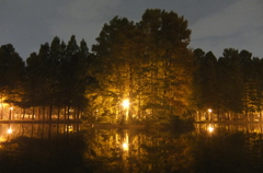 2014/11/02_夜の別所沼公園