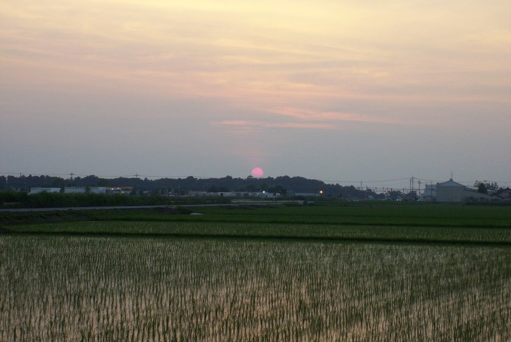 2015/07/12_夕日