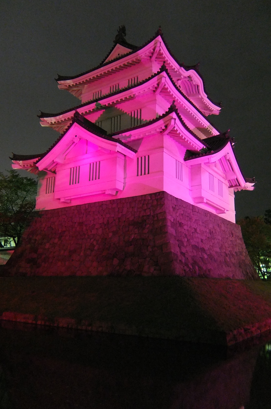 2016/10/10_ピンクリボンの夜の忍城