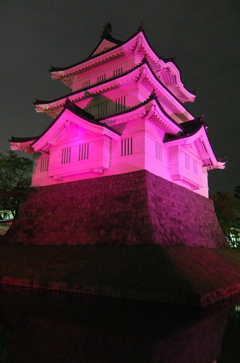 2016/10/10_ピンクリボンの夜の忍城