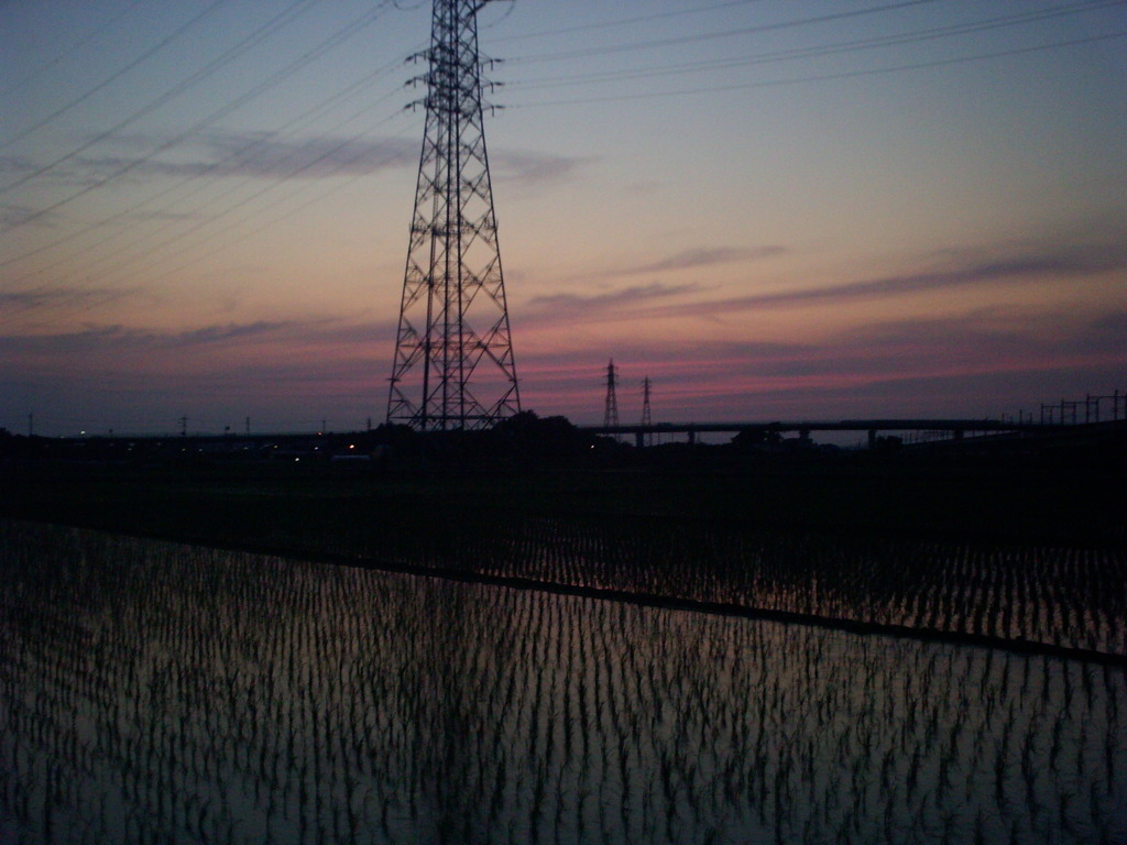 2016/06/18_水田の夕暮れ（没カット）