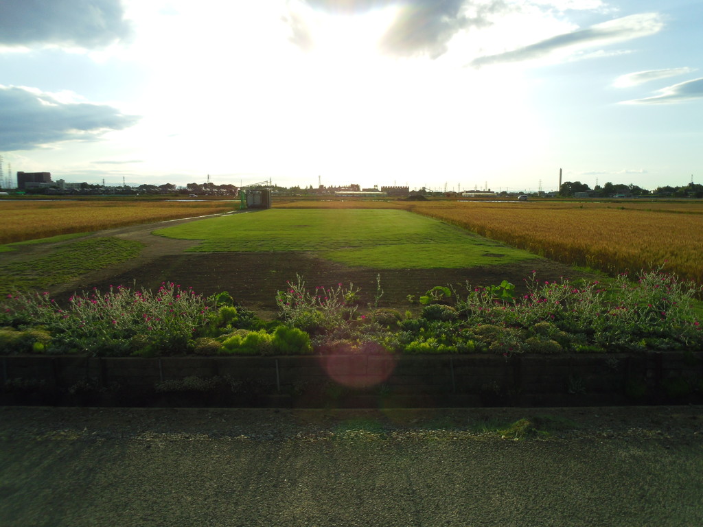 2017/06/04_田んぼの中のスペース