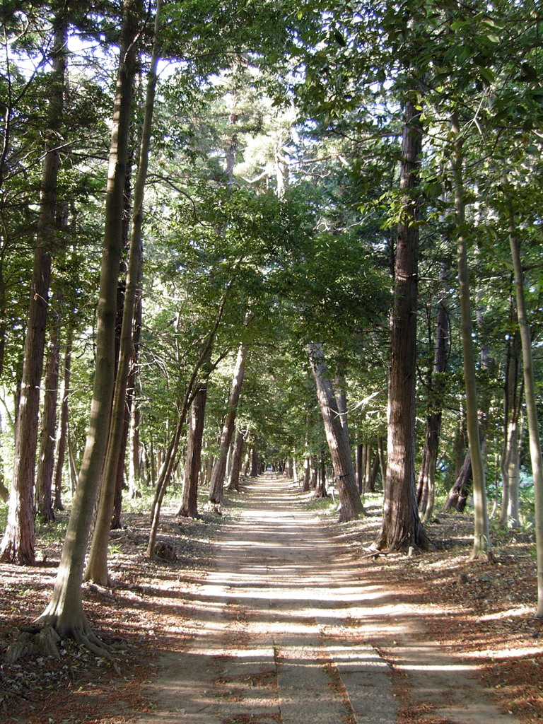 2017/05/04_神明神社参道