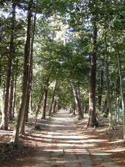 2017/05/04_神明神社参道