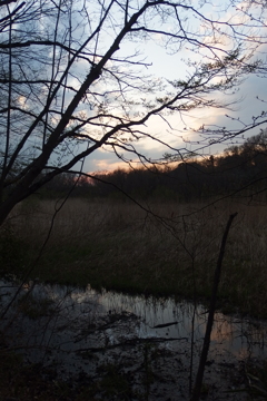2016/03/26_北本自然観察公園