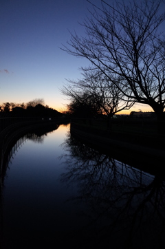 2015/12/26_見沼代用水の夕暮れ