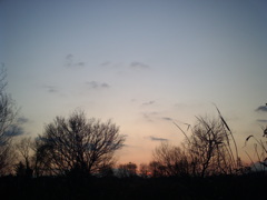 2015/12/31_夕暮れ