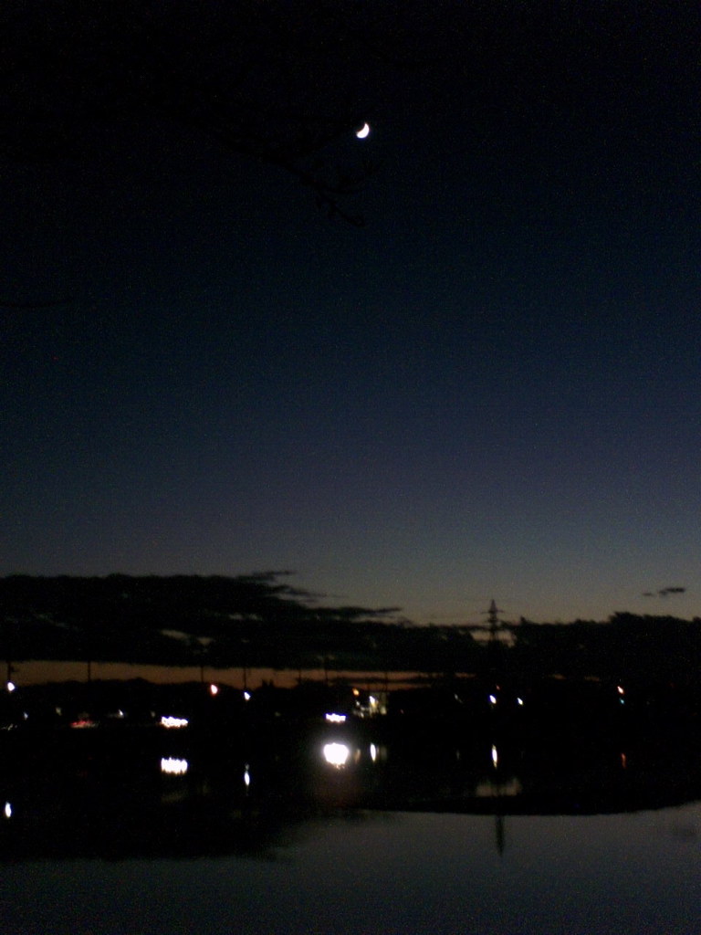2015/11/15_伊佐沼の夕暮れ