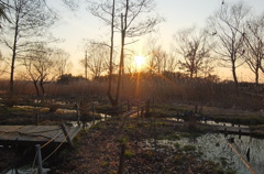 2015/02/11_ホタルの里