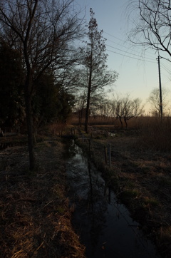 2015/02/11_ホタルの里