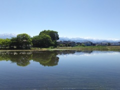 2017/05/19_水田に立山連峰