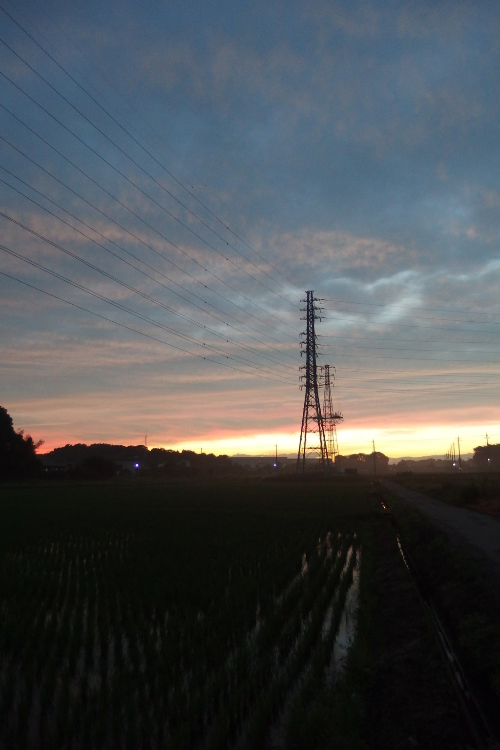 2015/06/27_水田の夕暮れ