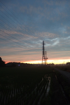 2015/06/27_水田の夕暮れ
