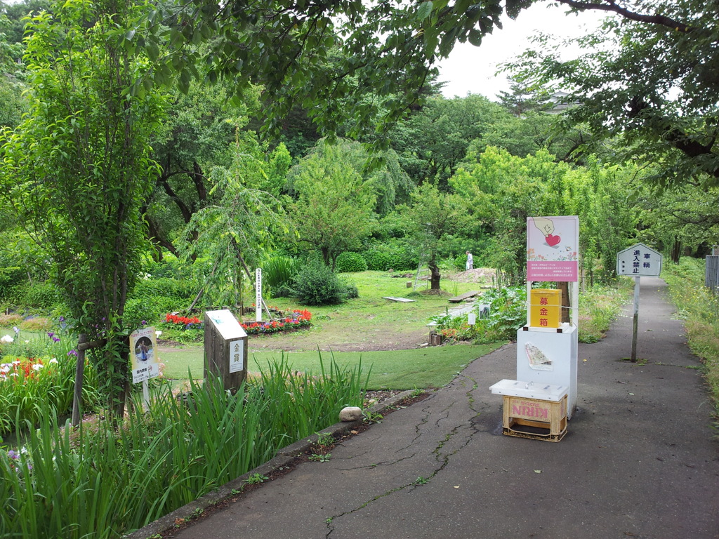 2018/06/16_花の森・天神山ガーデン