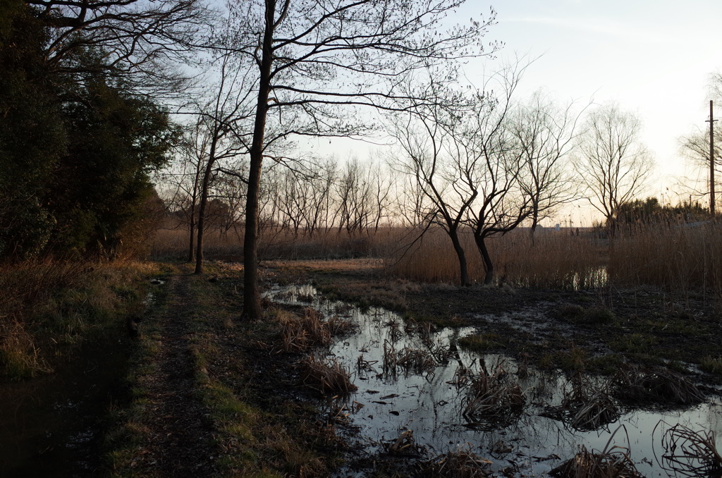 2015/02/11_ホタルの里