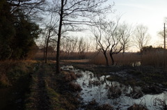 2015/02/11_ホタルの里