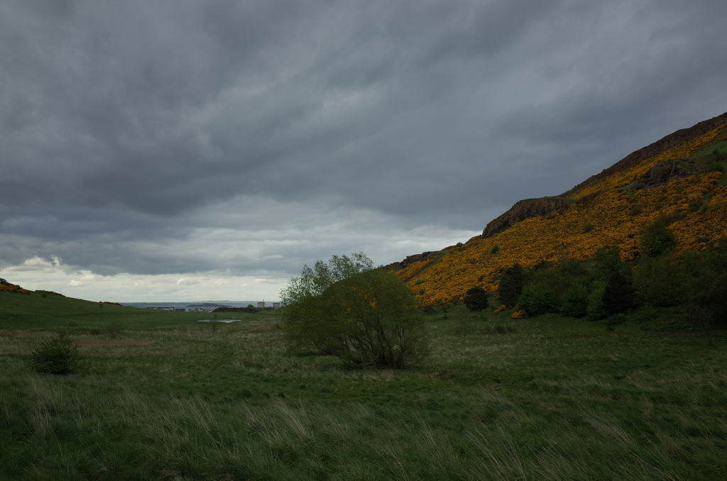 2016/05/20_アーサーズ・シートへの道からフォース湾を望む
