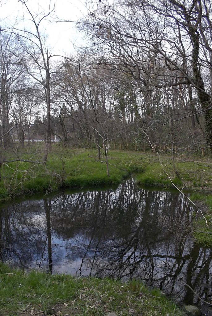 2016/03/26_北本自然観察公園