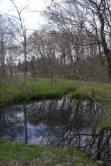 2016/03/26_北本自然観察公園