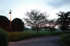 2015/10/03_夕暮れ