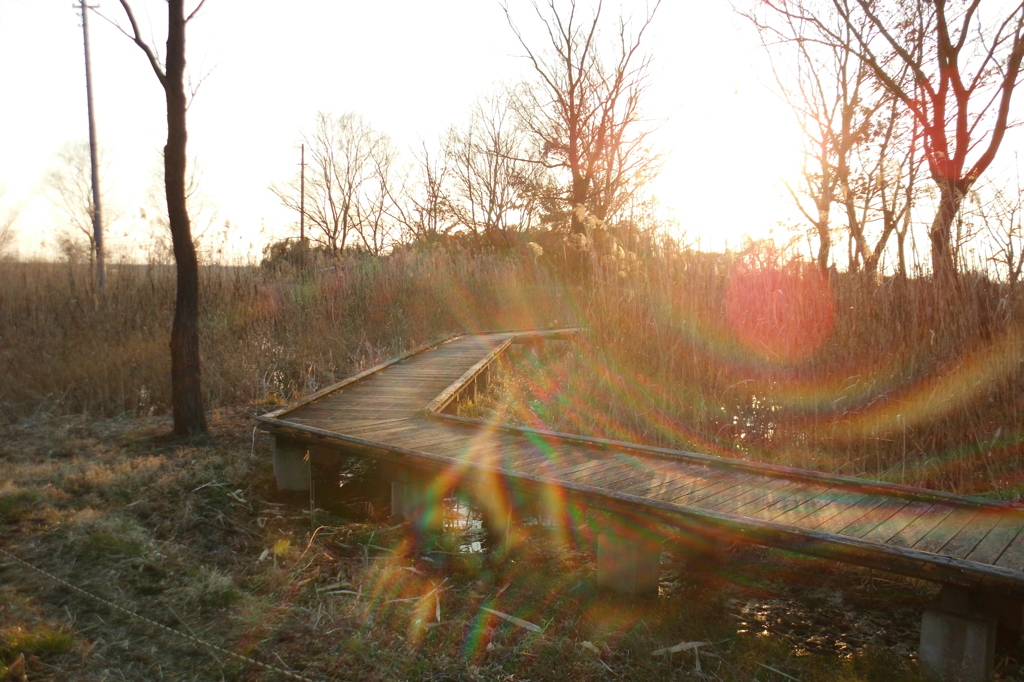 2015/02/11_ホタルの里