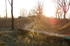 2015/02/11_ホタルの里